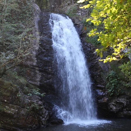 Gite De La Genevriere Saint-Chamant Dış mekan fotoğraf